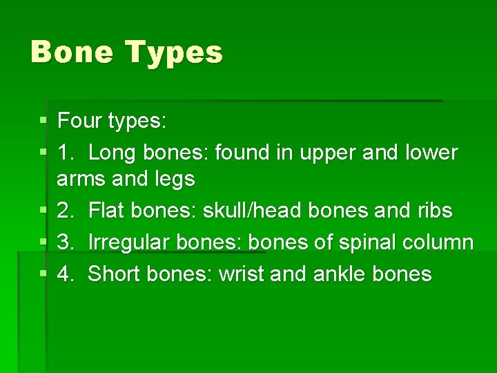 Bone Types § Four types: § 1. Long bones: found in upper and lower
