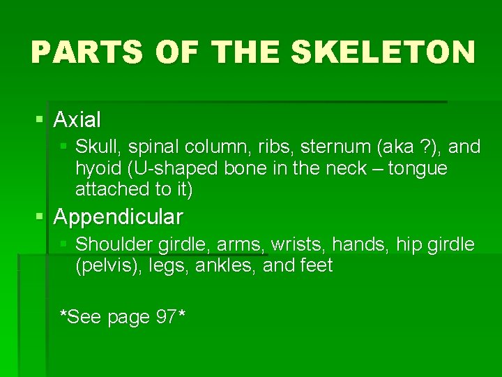 PARTS OF THE SKELETON § Axial § Skull, spinal column, ribs, sternum (aka ?