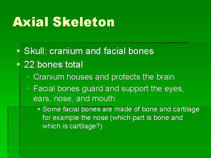 Axial Skeleton § Skull: cranium and facial bones § 22 bones total § Cranium