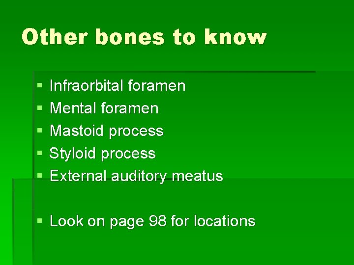 Other bones to know § § § Infraorbital foramen Mental foramen Mastoid process Styloid