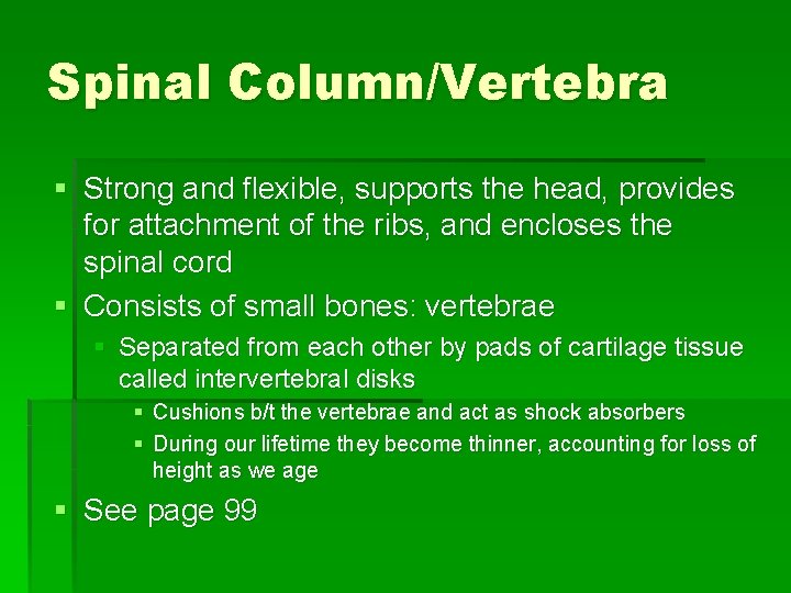 Spinal Column/Vertebra § Strong and flexible, supports the head, provides for attachment of the