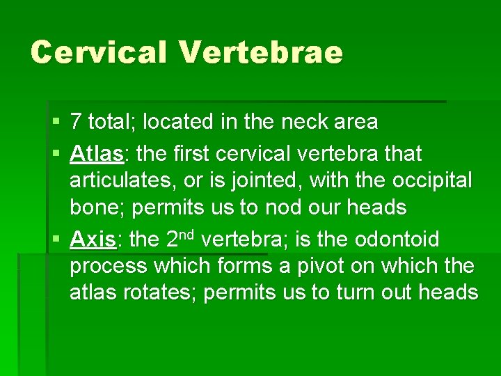 Cervical Vertebrae § 7 total; located in the neck area § Atlas: the first