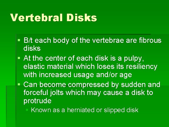 Vertebral Disks § B/t each body of the vertebrae are fibrous disks § At