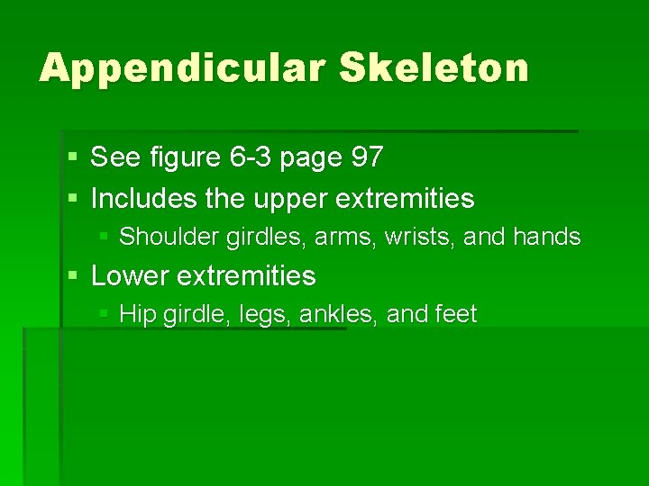 Appendicular Skeleton § See figure 6 -3 page 97 § Includes the upper extremities