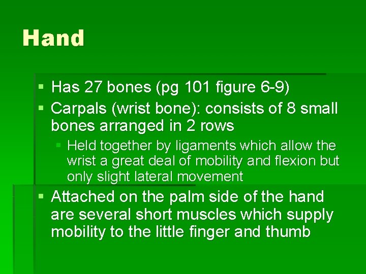Hand § Has 27 bones (pg 101 figure 6 -9) § Carpals (wrist bone):