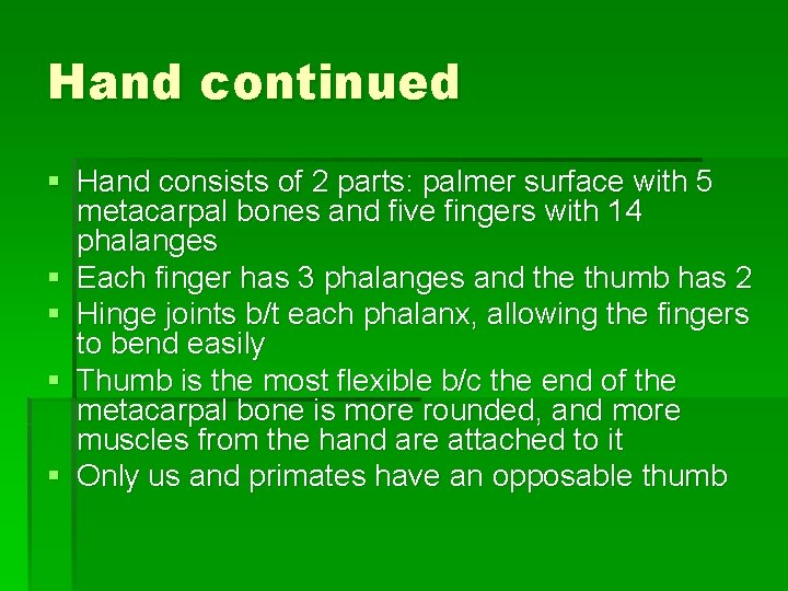 Hand continued § Hand consists of 2 parts: palmer surface with 5 metacarpal bones
