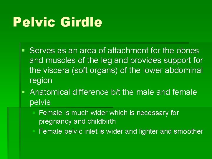 Pelvic Girdle § Serves as an area of attachment for the obnes and muscles