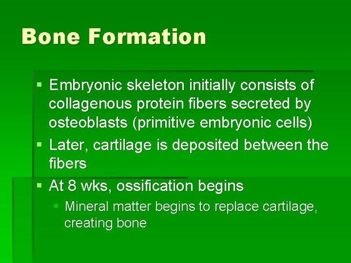 Bone Formation § Embryonic skeleton initially consists of collagenous protein fibers secreted by osteoblasts