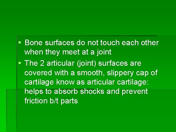 § Bone surfaces do not touch each other when they meet at a joint