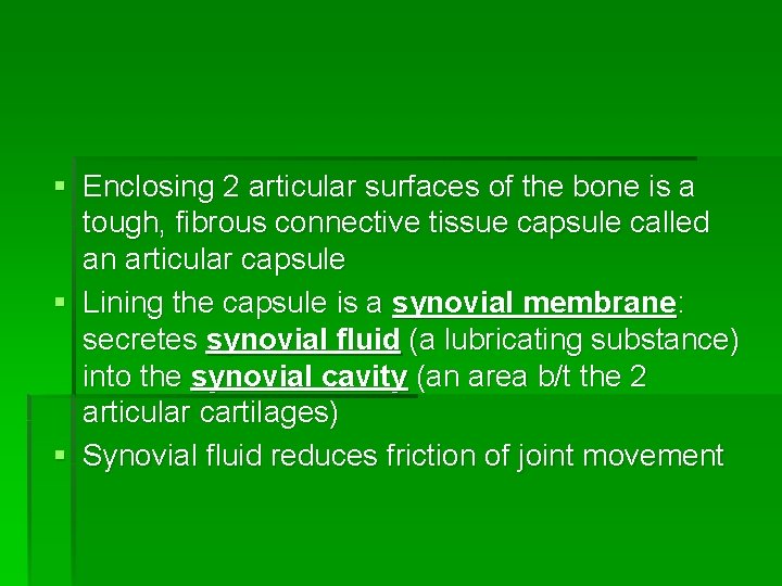 § Enclosing 2 articular surfaces of the bone is a tough, fibrous connective tissue