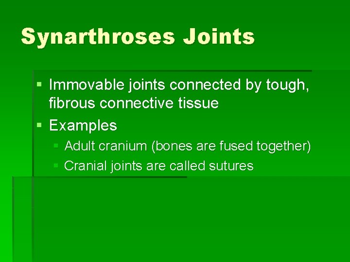 Synarthroses Joints § Immovable joints connected by tough, fibrous connective tissue § Examples §