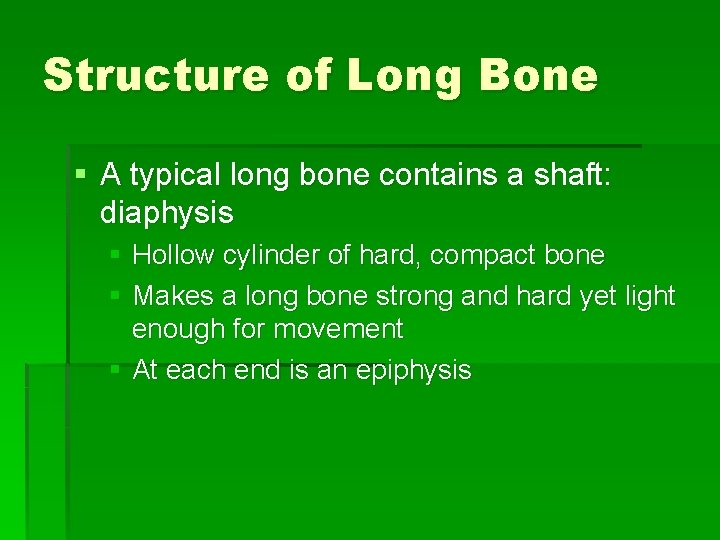 Structure of Long Bone § A typical long bone contains a shaft: diaphysis §