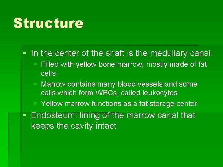 Structure § In the center of the shaft is the medullary canal. § Filled