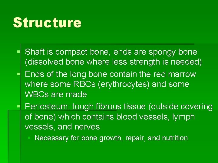 Structure § Shaft is compact bone, ends are spongy bone (dissolved bone where less