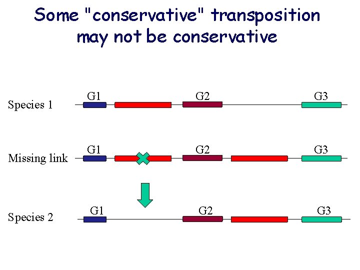 Some "conservative" transposition may not be conservative Species 1 Missing link Species 2 G