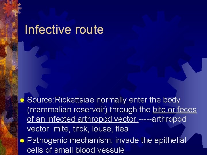 Infective route ® Source: Rickettsiae normally enter the body (mammalian reservoir) through the bite