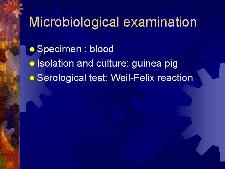 Microbiological examination ® Specimen : blood ® Isolation and culture: guinea pig ® Serological