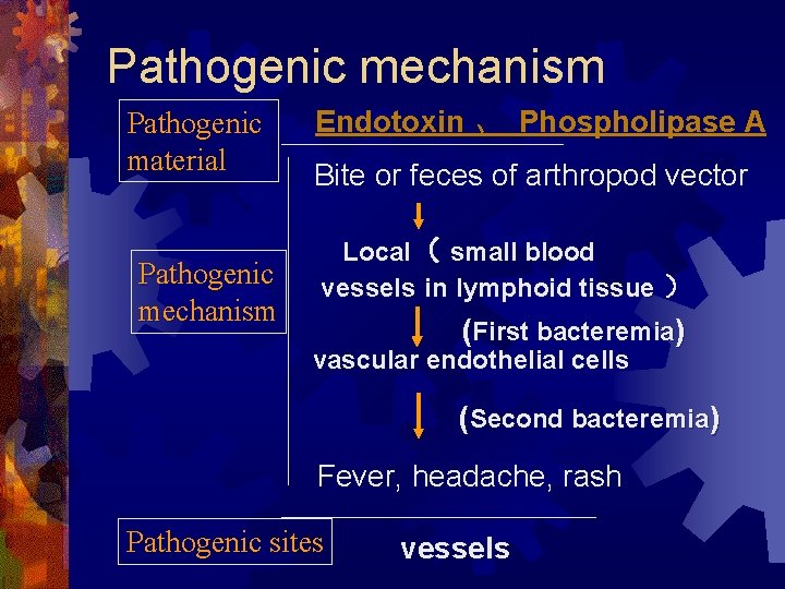Pathogenic mechanism Pathogenic material Pathogenic mechanism Endotoxin 、 Phospholipase A Bite or feces of