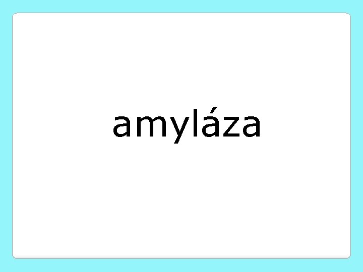 amyláza 