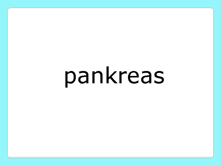 pankreas 