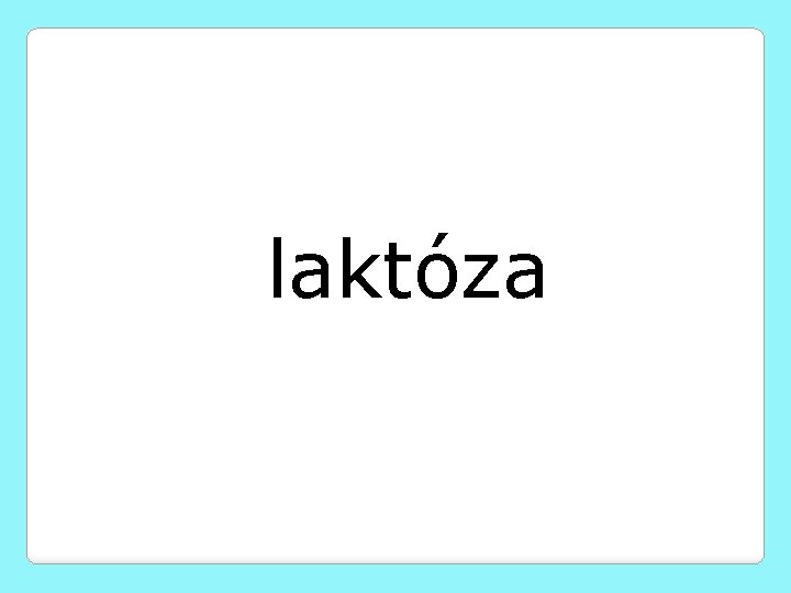 laktóza 