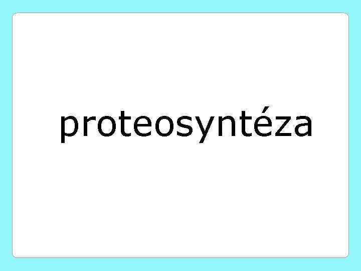 proteosyntéza 