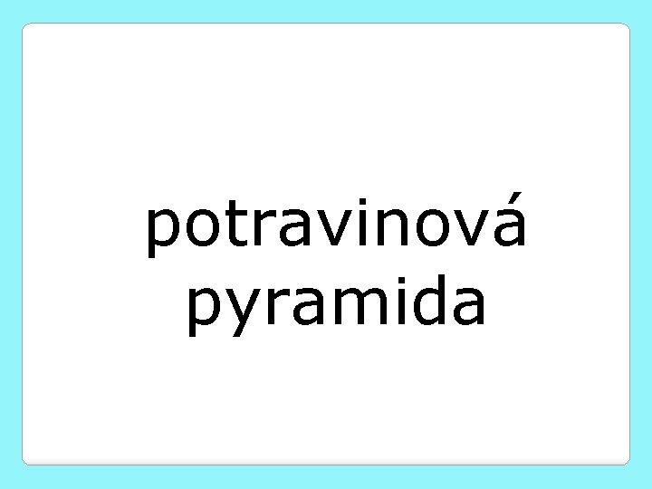 potravinová pyramida 