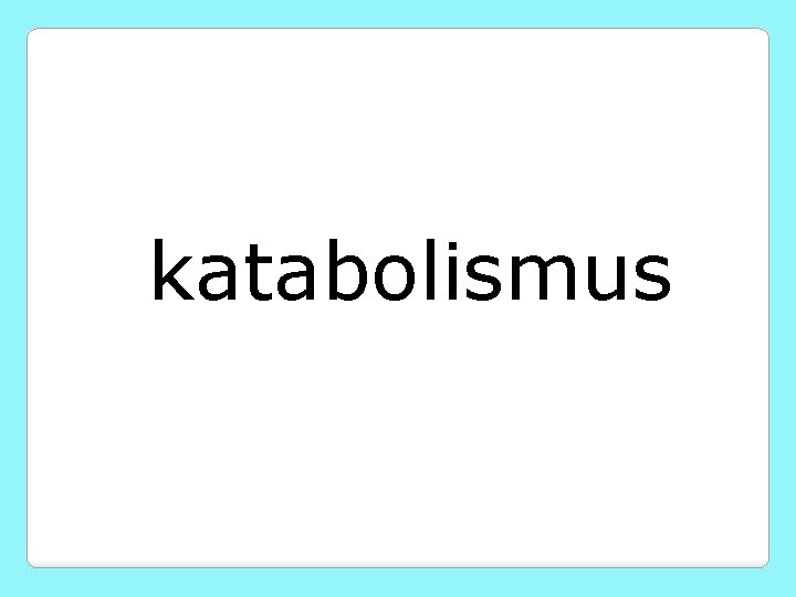 katabolismus 