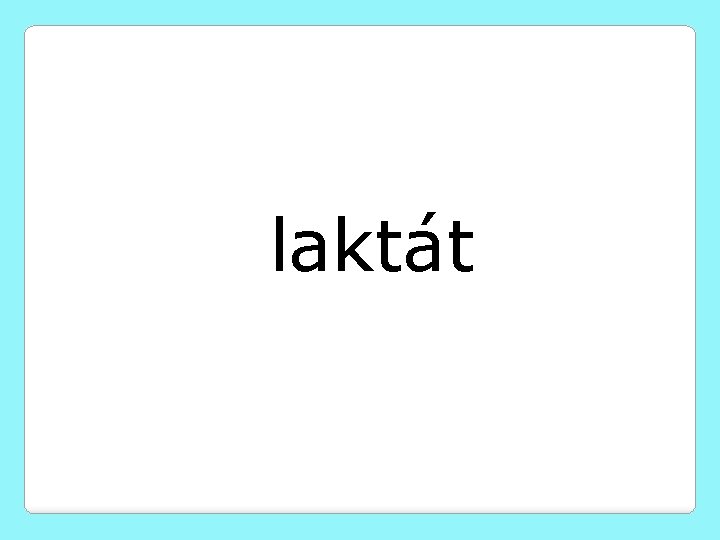 laktát 