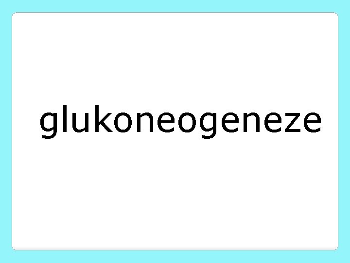 glukoneogeneze 