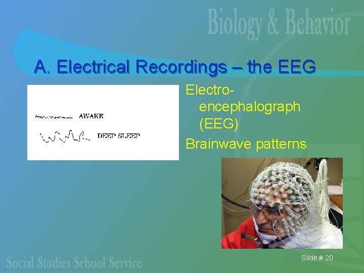 A. Electrical Recordings – the EEG Electroencephalograph (EEG) Brainwave patterns Slide # 20 