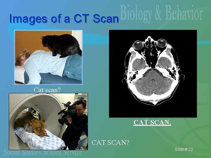 Images of a CT Scan Cat scan? CAT SCAN? Slide # 22 