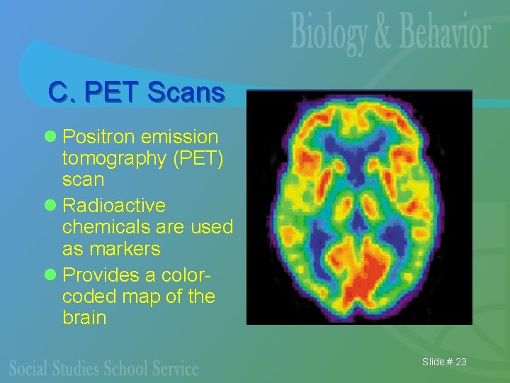 C. PET Scans l Positron emission tomography (PET) scan l Radioactive chemicals are used