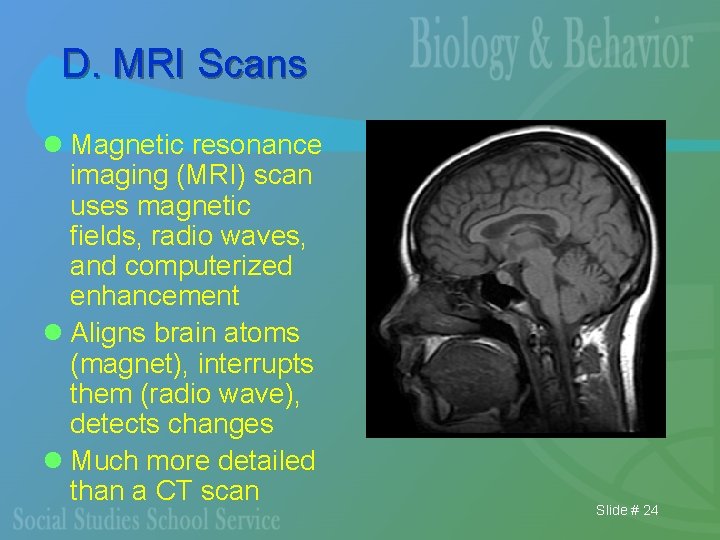 D. MRI Scans l Magnetic resonance imaging (MRI) scan uses magnetic fields, radio waves,