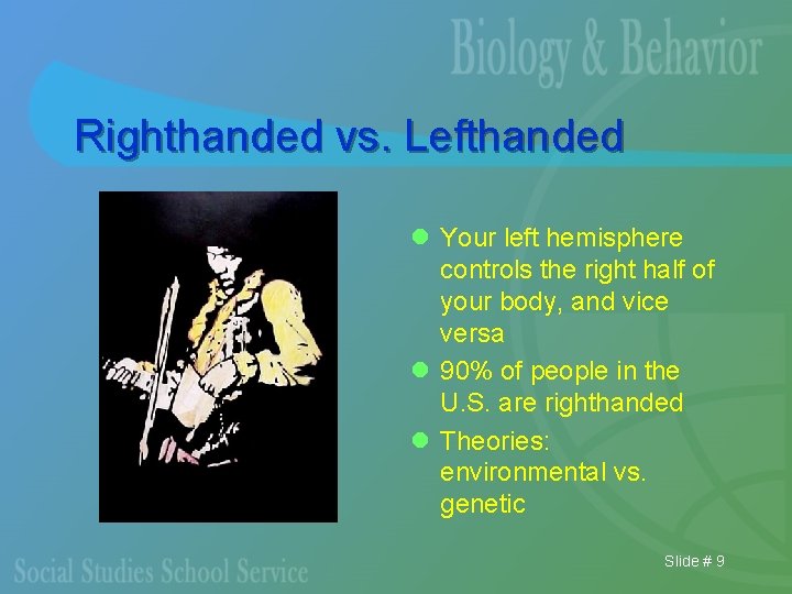 Righthanded vs. Lefthanded l Your left hemisphere controls the right half of your body,