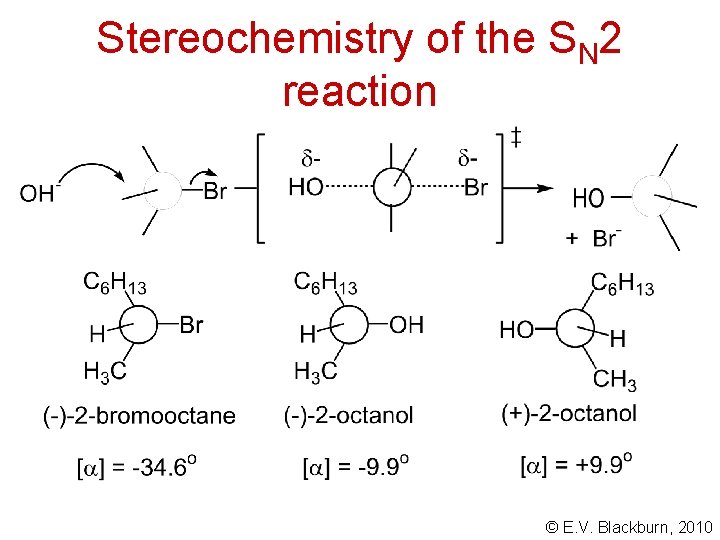 Stereochemistry of the SN 2 reaction © E. V. Blackburn, 2010 