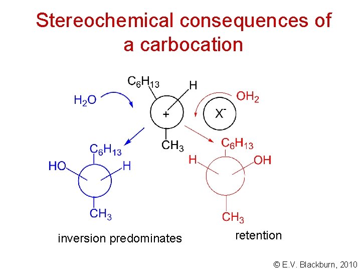 Stereochemical consequences of a carbocation inversion predominates retention © E. V. Blackburn, 2010 