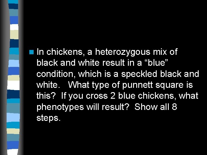 n In chickens, a heterozygous mix of black and white result in a “blue” n In chickens, a heterozygous mix of black and white result in a “blue”