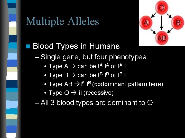 Multiple Alleles n Blood Types in Humans – Single gene, but four phenotypes • Multiple Alleles n Blood Types in Humans – Single gene, but four phenotypes •