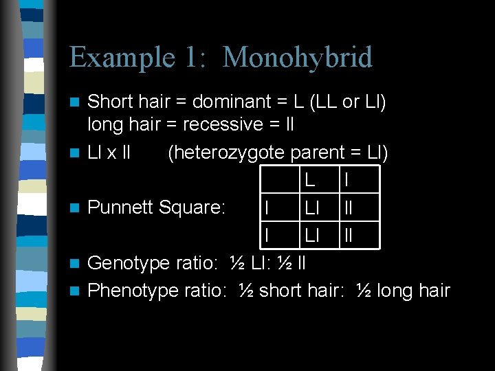 Example 1: Monohybrid n n n Short hair = dominant = L (LL or Example 1: Monohybrid n n n Short hair = dominant = L (LL or
