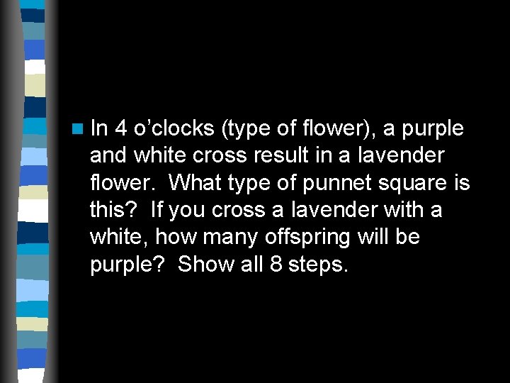 n In 4 o’clocks (type of flower), a purple and white cross result in