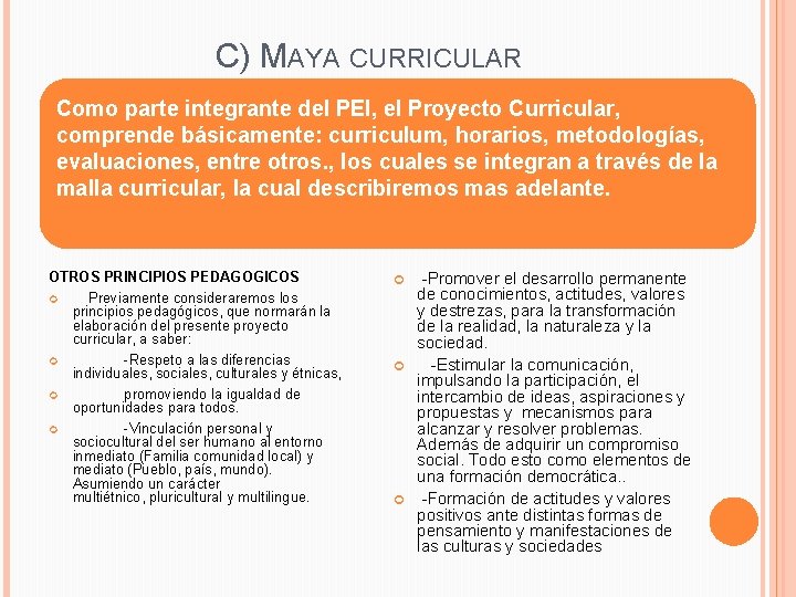 C) MAYA CURRICULAR Como parte integrante del PEI, el Proyecto Curricular, comprende básicamente: curriculum,