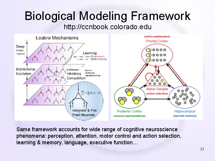 Biological Modeling Framework http: //ccnbook. colorado. edu Same framework accounts for wide range of