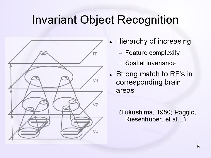 Invariant Object Recognition Hierarchy of increasing: Feature complexity Spatial invariance Strong match to RF’s