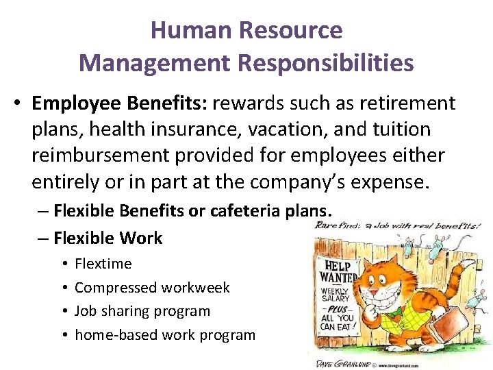 Human Resource Management Responsibilities • Employee Benefits: rewards such as retirement plans, health insurance,