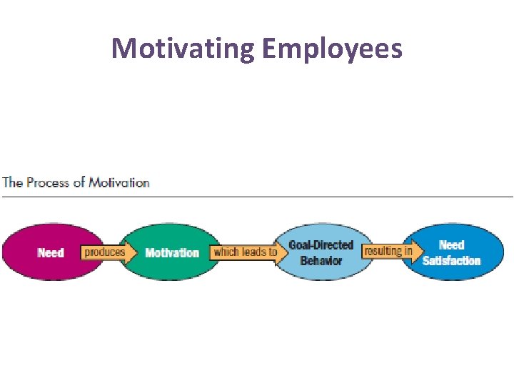 Motivating Employees 