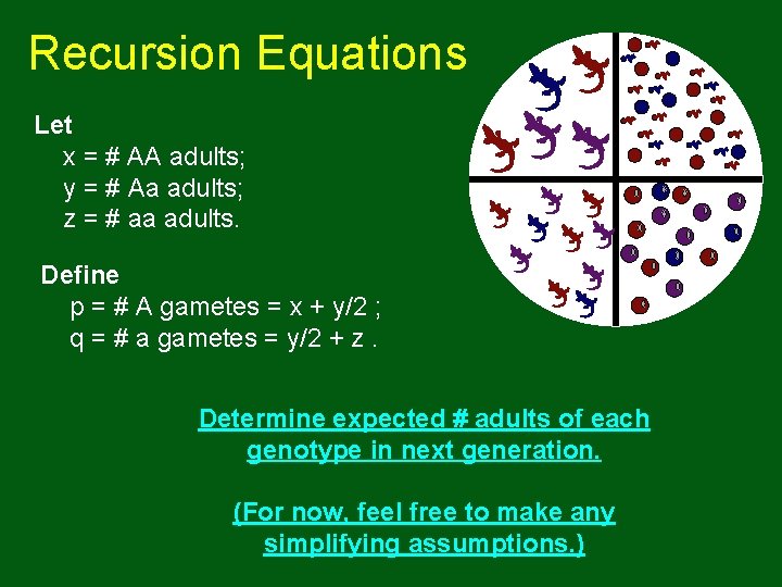 Recursion Equations Let x = # AA adults; y = # Aa adults; z Recursion Equations Let x = # AA adults; y = # Aa adults; z