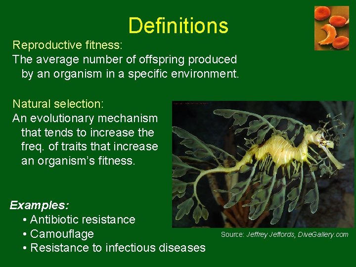 Definitions Reproductive fitness: The average number of offspring produced by an organism in a Definitions Reproductive fitness: The average number of offspring produced by an organism in a