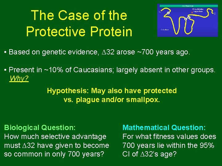 The Case of the Protective Protein • Based on genetic evidence, 32 arose ~700 The Case of the Protective Protein • Based on genetic evidence, 32 arose ~700
