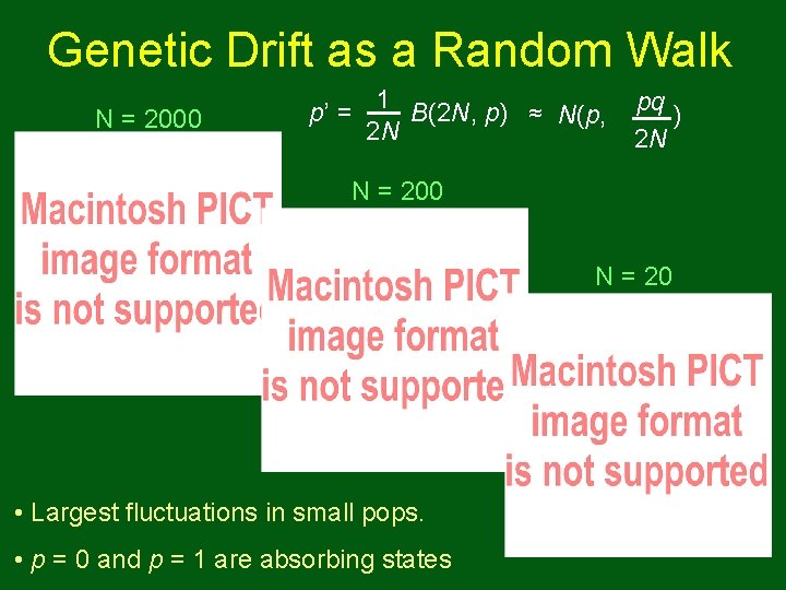 Genetic Drift as a Random Walk N = 2000 p’ = 1 B(2 N, Genetic Drift as a Random Walk N = 2000 p’ = 1 B(2 N,